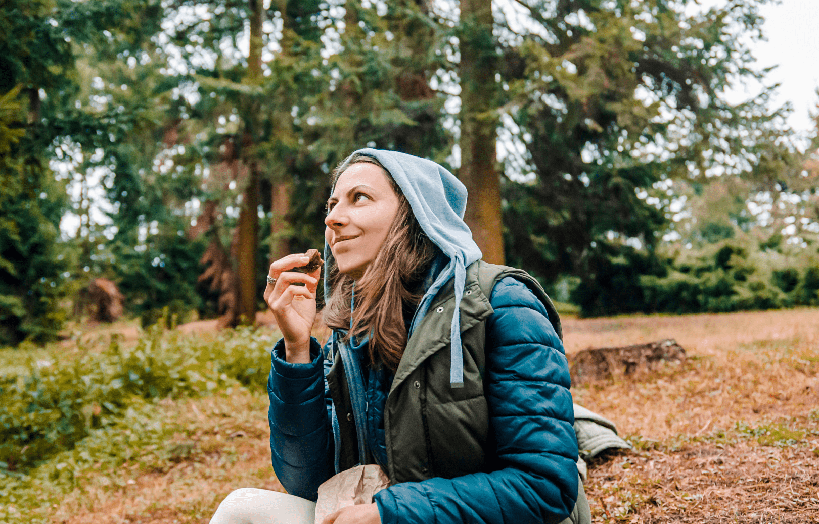 Dates Vs. Granola: Which Bars Are Better? - Bahamii