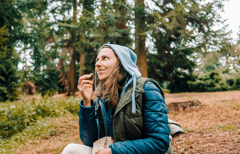 Dates Vs. Granola: Which Bars Are Better?