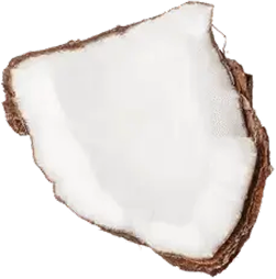 coconut slice