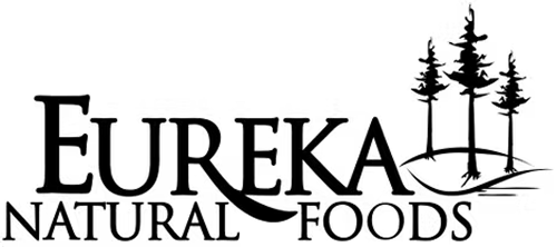man walking dog silhouette